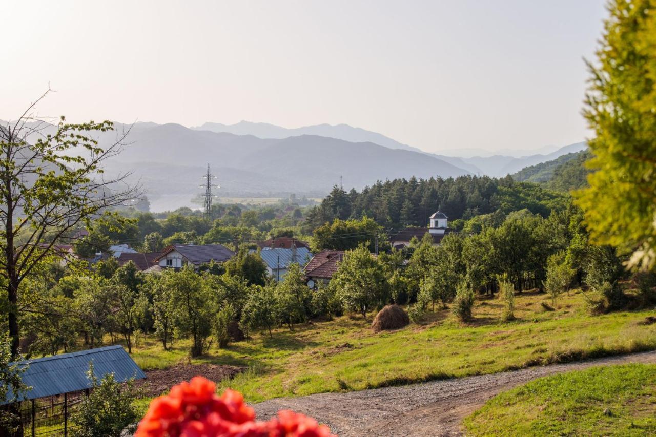 Agropensiunea Andrei & Ianis Daesti Exteriér fotografie