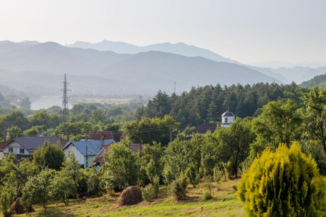 Agropensiunea Andrei & Ianis Daesti Exteriér fotografie