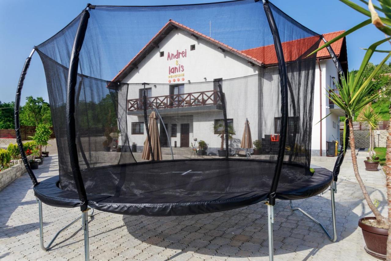 Agropensiunea Andrei & Ianis Daesti Exteriér fotografie