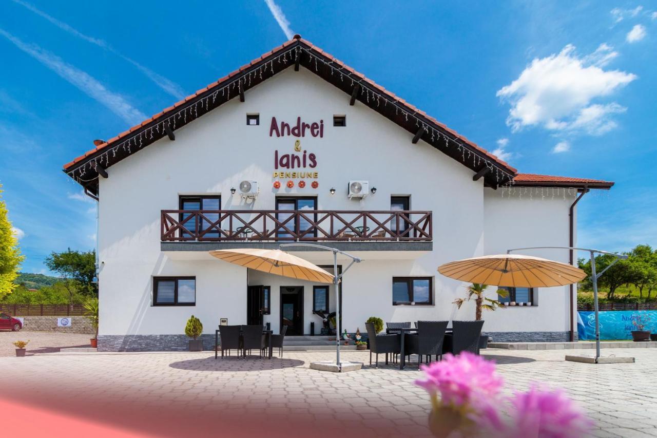 Agropensiunea Andrei & Ianis Daesti Exteriér fotografie