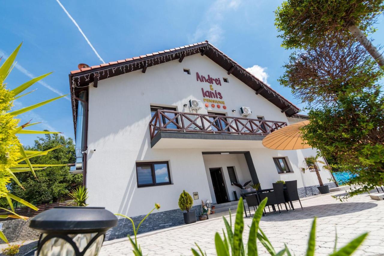Agropensiunea Andrei & Ianis Daesti Exteriér fotografie